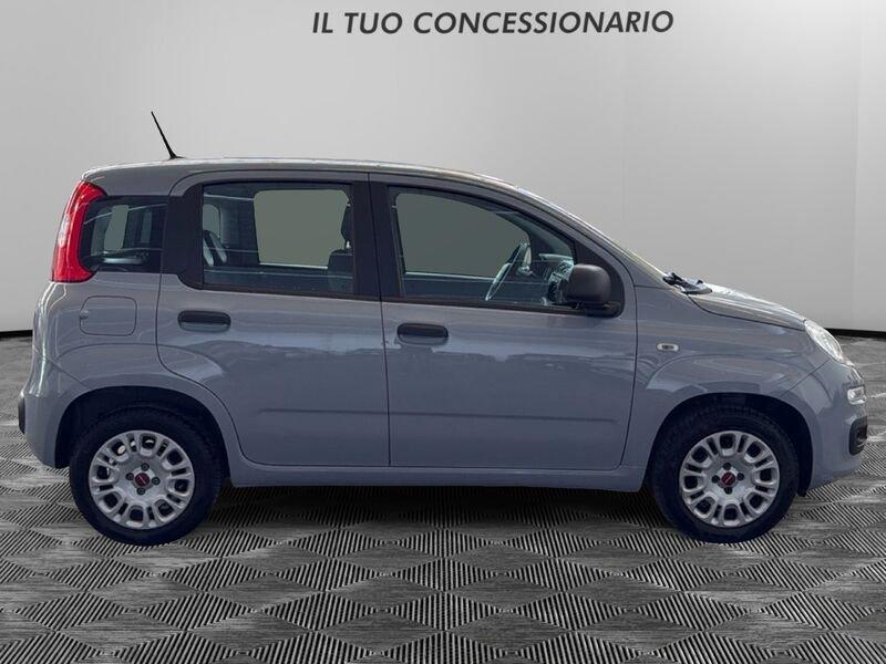 FIAT Panda 1.2 69cv S&S E6d-Temp Lounge