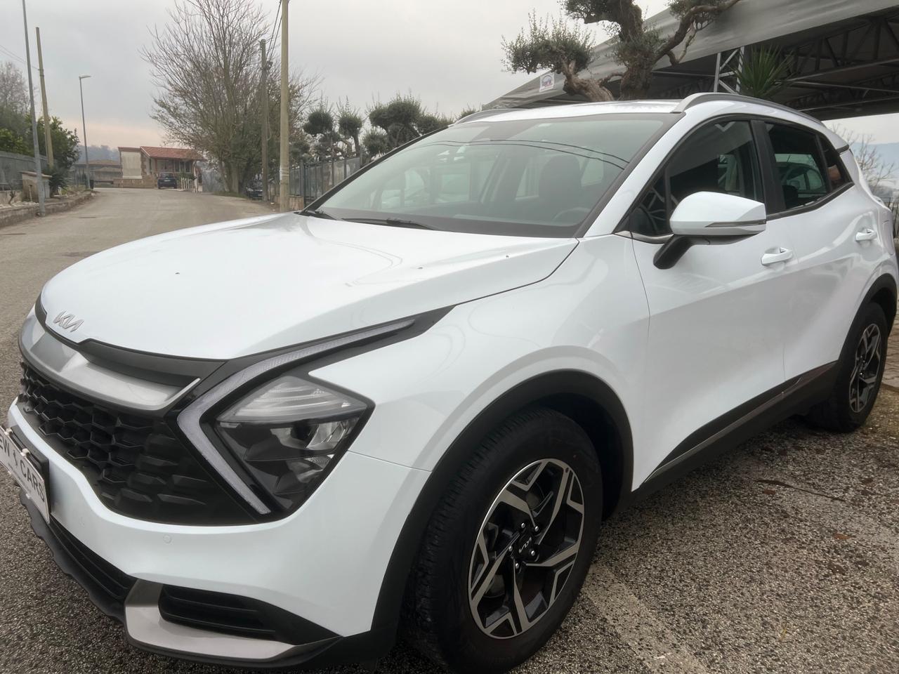 Kia Sportage 1.6 CRDI 136 CV 2WD Mild Hybrid Business Class