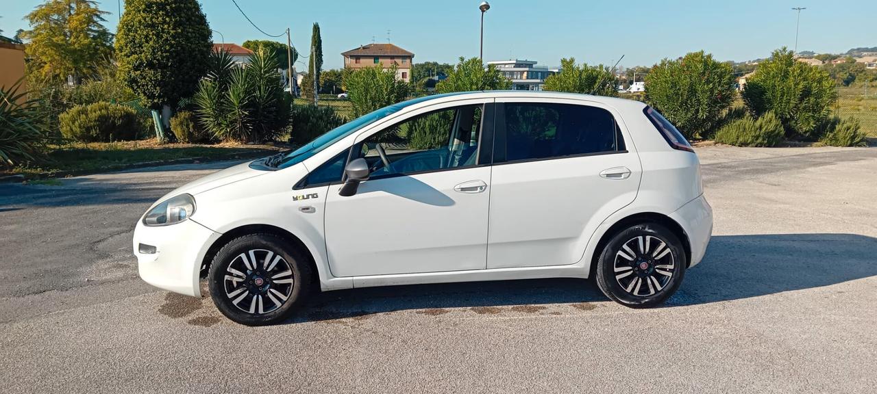 Fiat Punto 1.3 MJT II 75 CV 5 porte Lounge