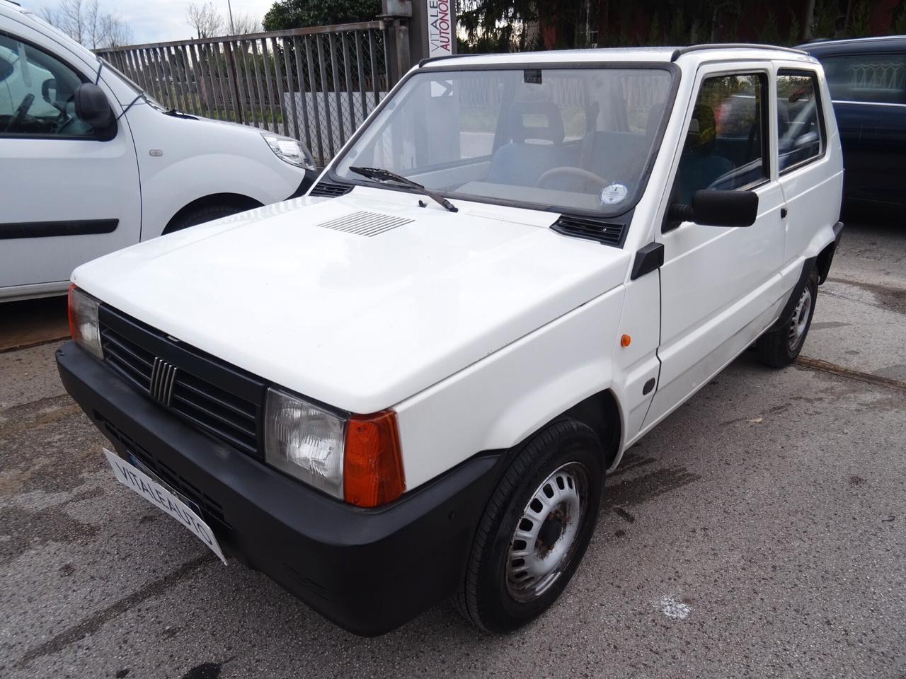 Fiat Panda 1100 i.e. cat Young
