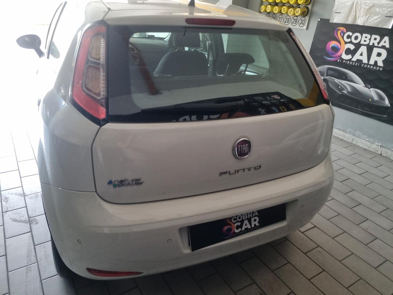 Fiat Punto 1.4 8V 5 porte Natural Power Young
