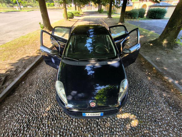 FIAT Punto 1.4 8V 5 porte Natural Power