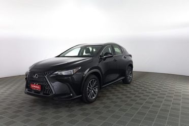 LEXUS Other NX NX Hybrid 4WD Business