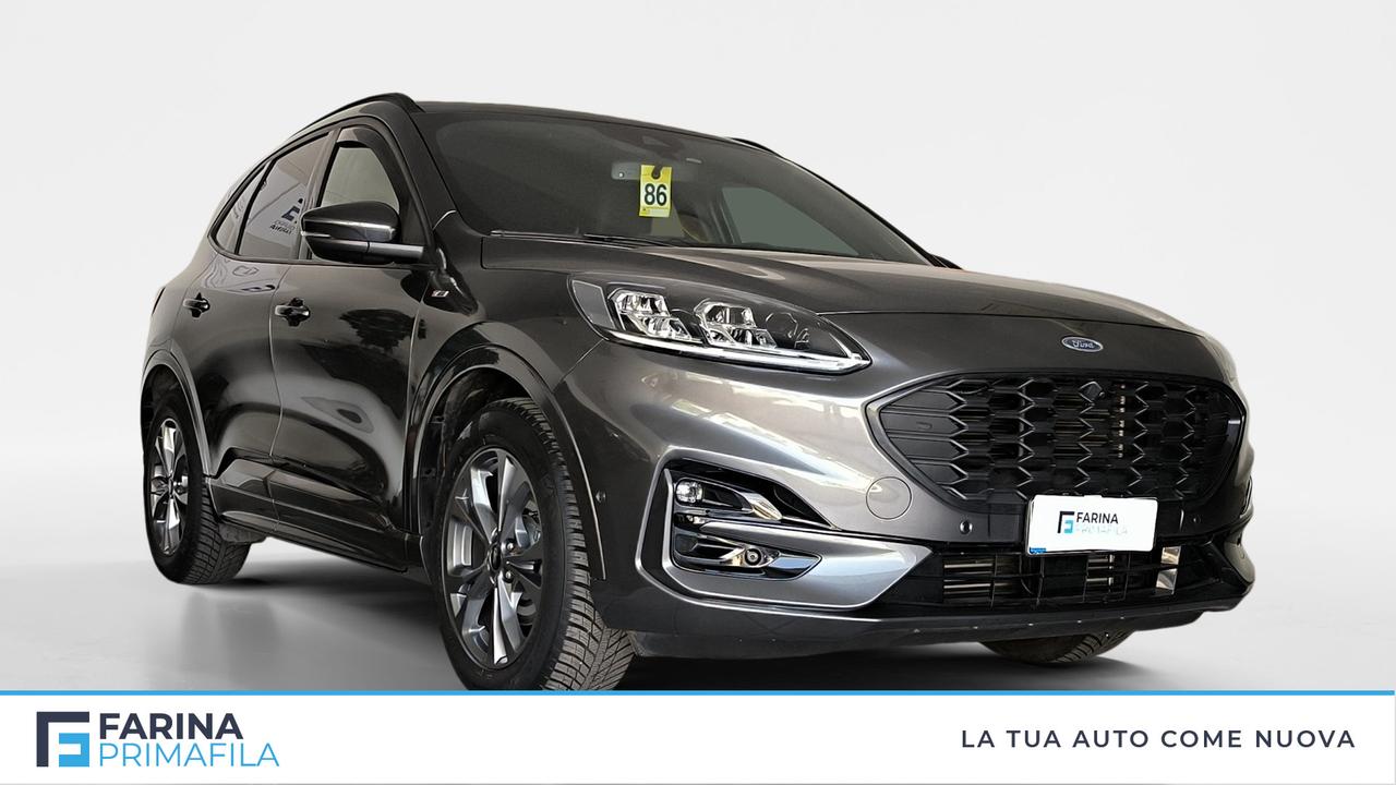 FORD Kuga III 2020 - Kuga 1.5 ecoblue ST-Line X 2wd 120cv auto