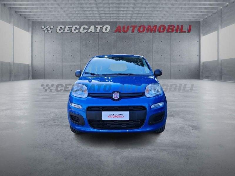 FIAT Panda Panda 1.0 firefly hybrid s&s 70cv