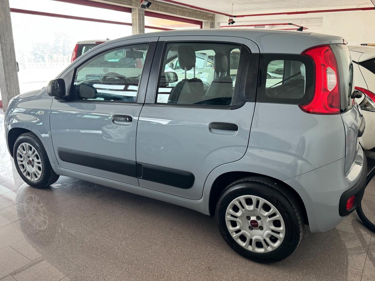 Fiat Panda 1.2 EasyPower Easy