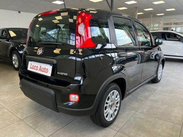 FIAT Panda 1.0 FireFly S&S Hybrid *UNICO PROP.*