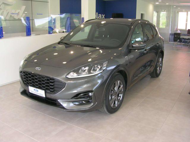 FORD Kuga ST-Line X 1.5 EcoBlue 120cv Automatica A8 2WD