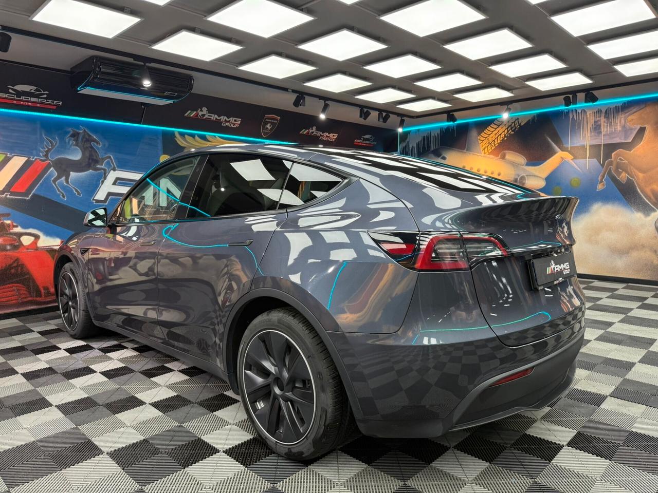 Tesla Model Y RWD (222)