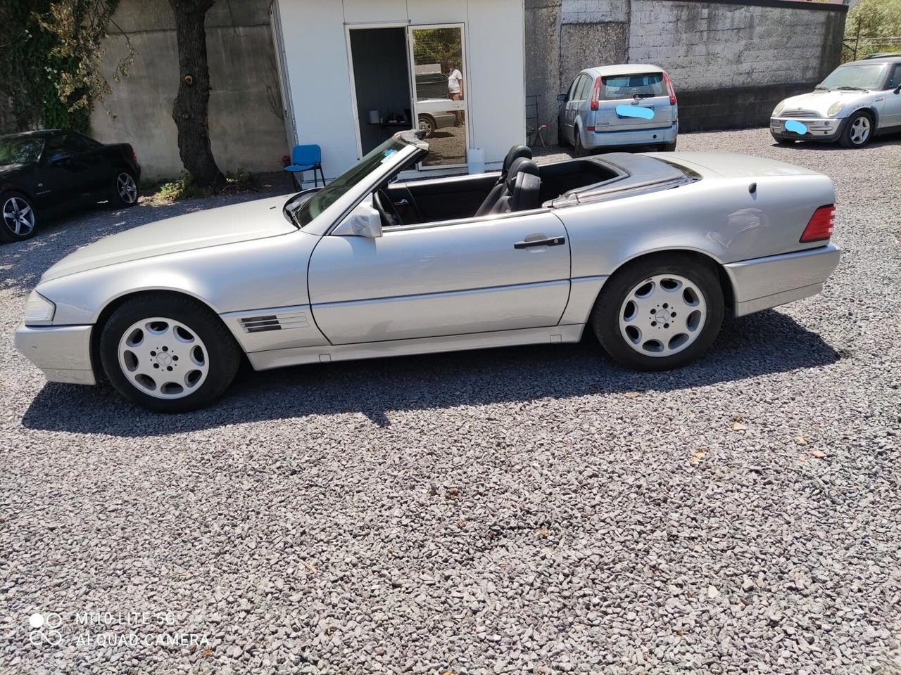 Mercedes-benz SL 300 SL-24 cat