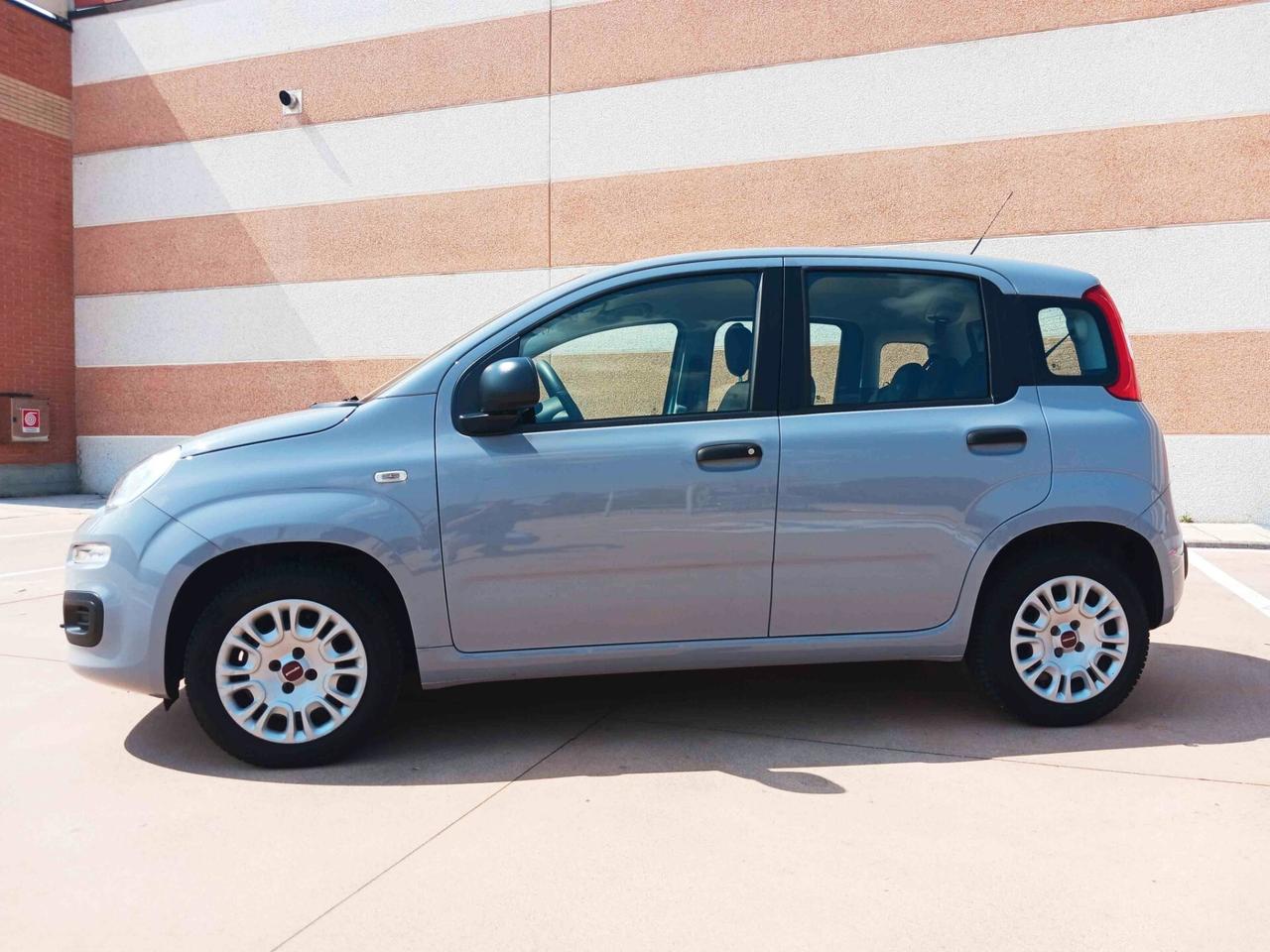 Fiat Panda 1.2 Lounge 2019 PERFETTA IN TUTTO