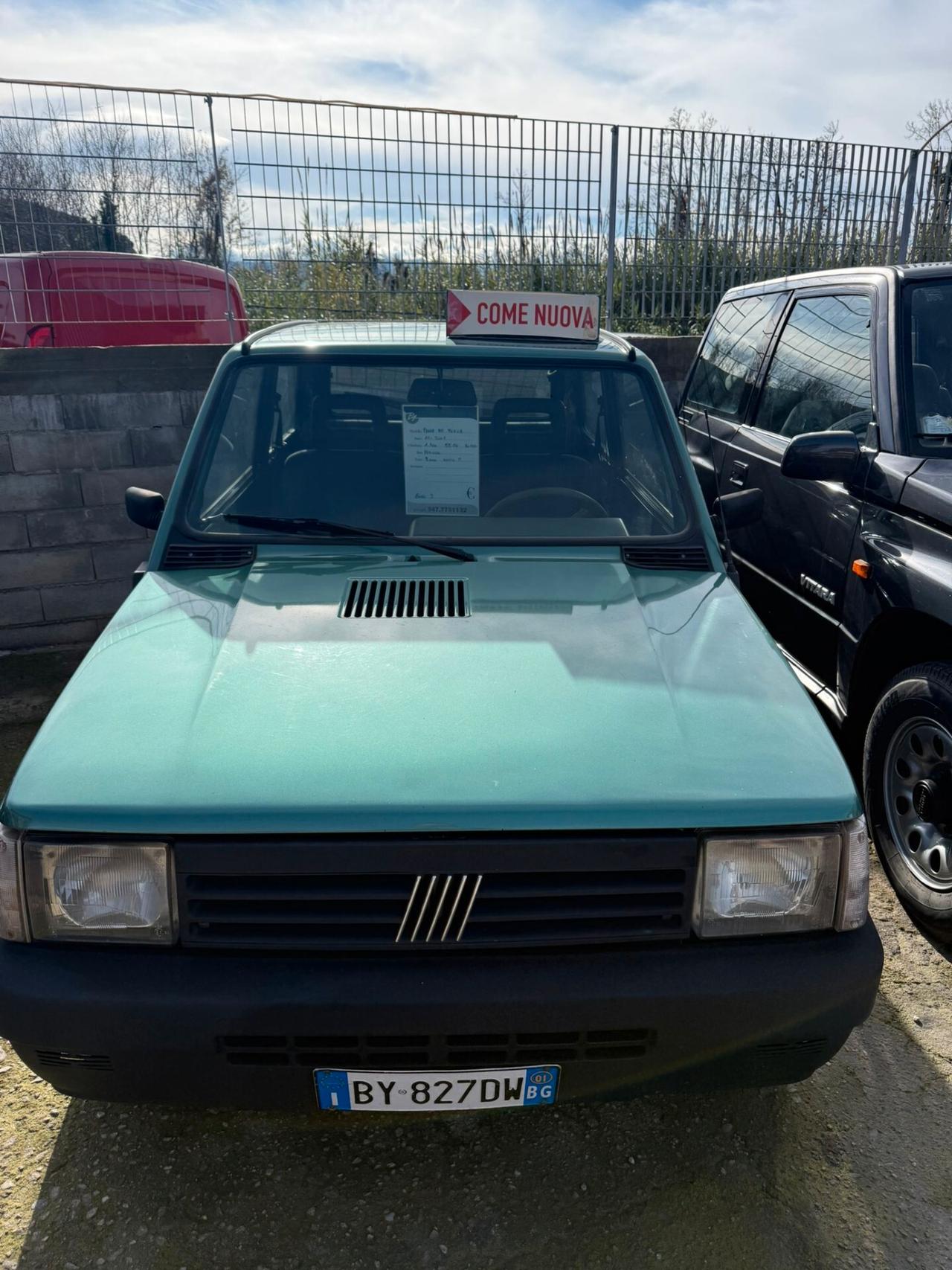 Fiat Panda 1100 i.e. cat Young
