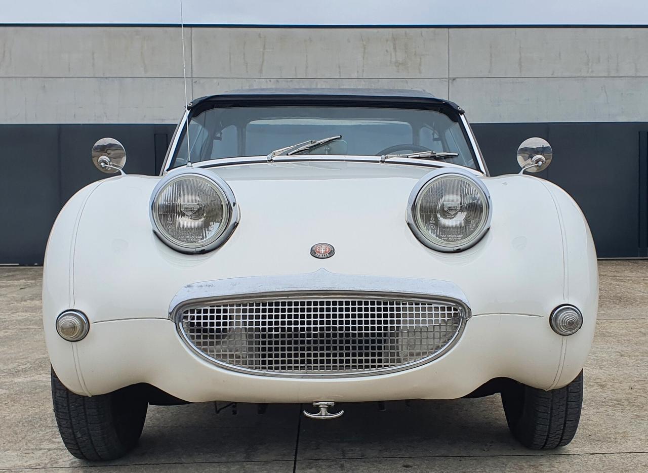 Austin Healey SPRITE FROG