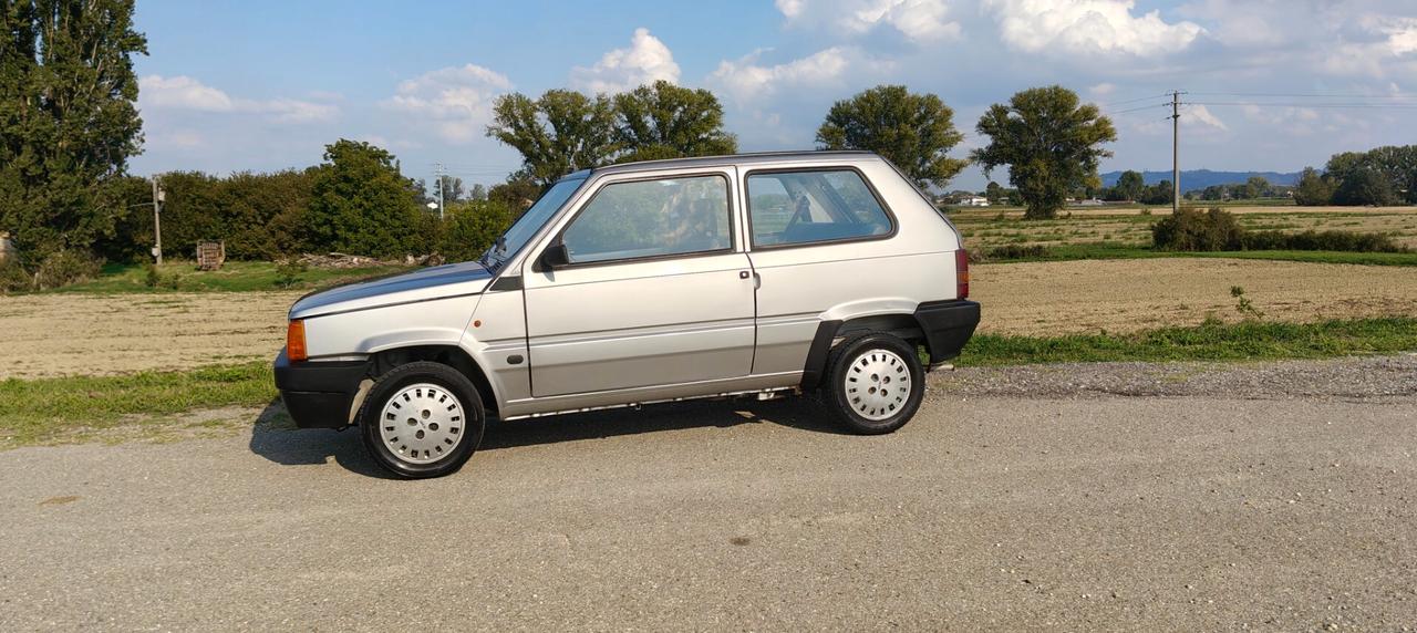 Fiat Panda 900 i.e. cat Young - neopatentati