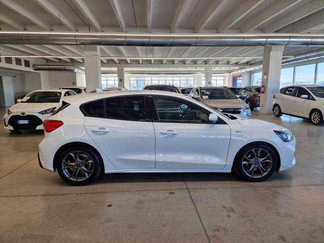 FORD Focus 1.5 EcoBlue 120 CV aut. 5p. ST-Line Co-Pilot