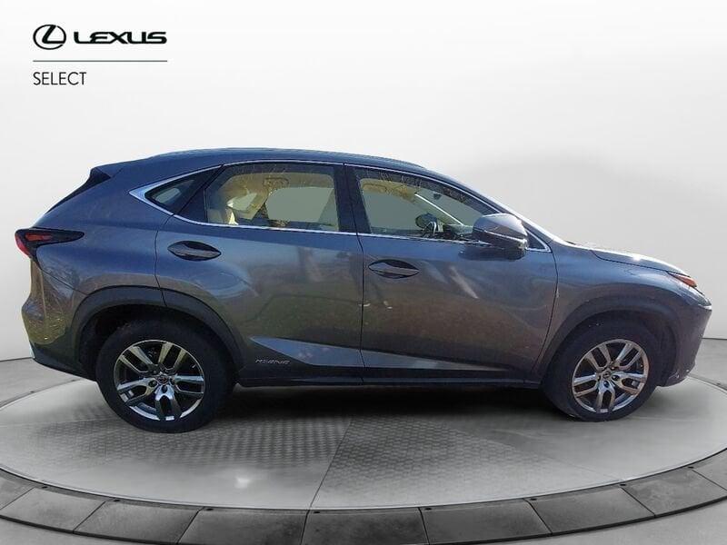 Lexus NX Hybrid 4WD Premium