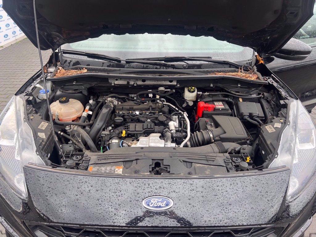 FORD Kuga 1.5 EcoBlue 120 CV aut. 2WD ST-Line del 2022