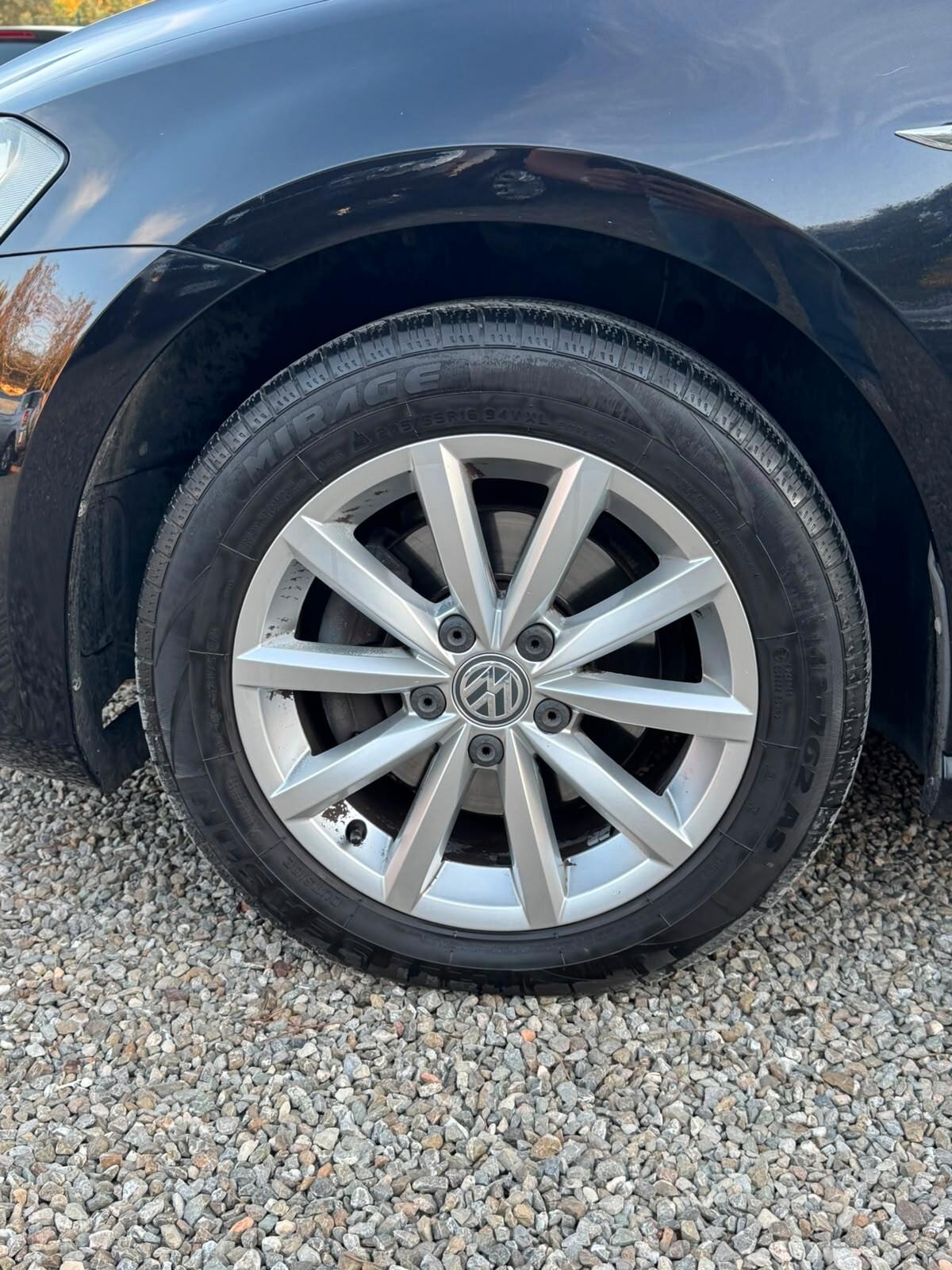 Volkswagen Golf 1.6 TDI 110 CV 5p. Executive BlueMotion Technology