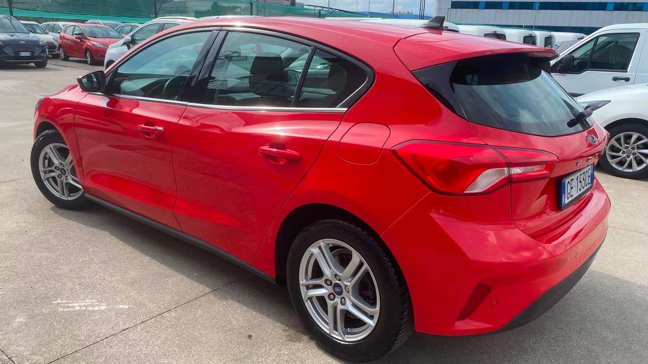 Ford Focus 1.5 EcoBlue 95 CV 5p. Business