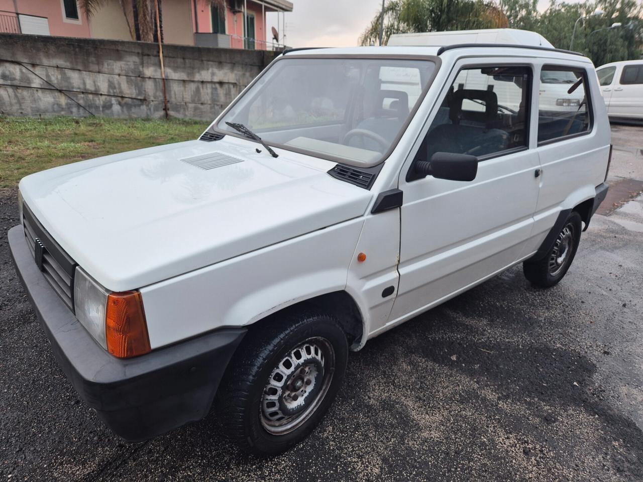 Fiat Panda 1100 i.e. cat Young