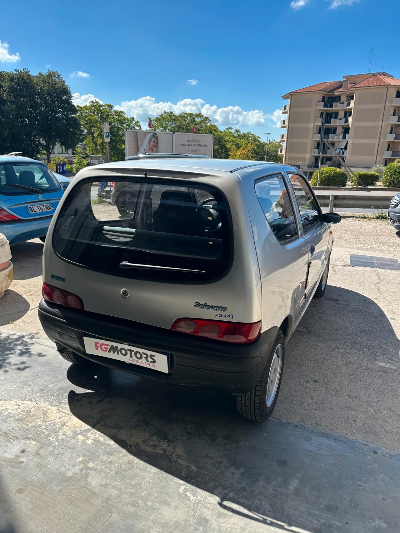 Fiat Seicento 900i cat Young