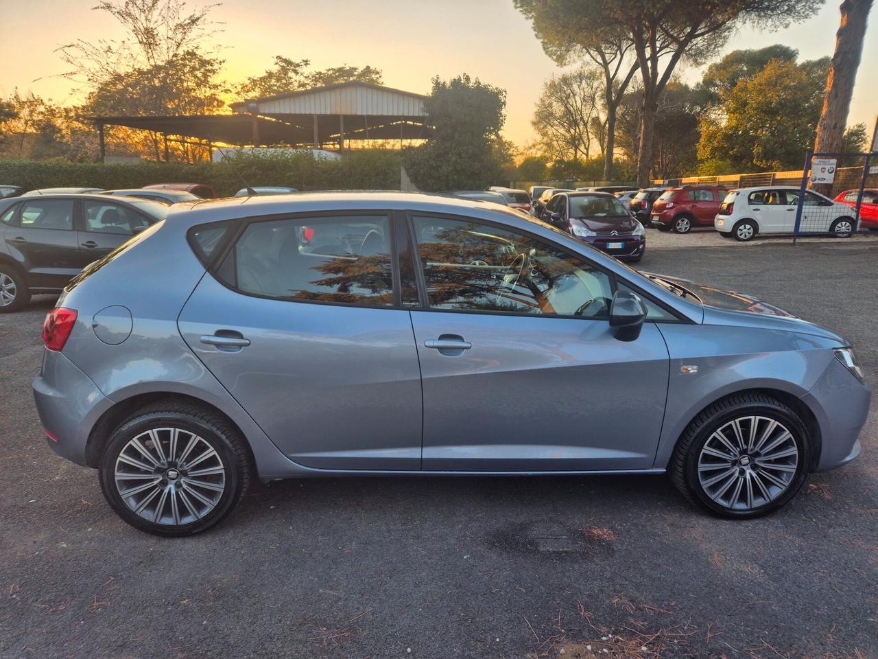 Seat Ibiza 1.6 TDI 80 CV 5 porte XCELLENCE