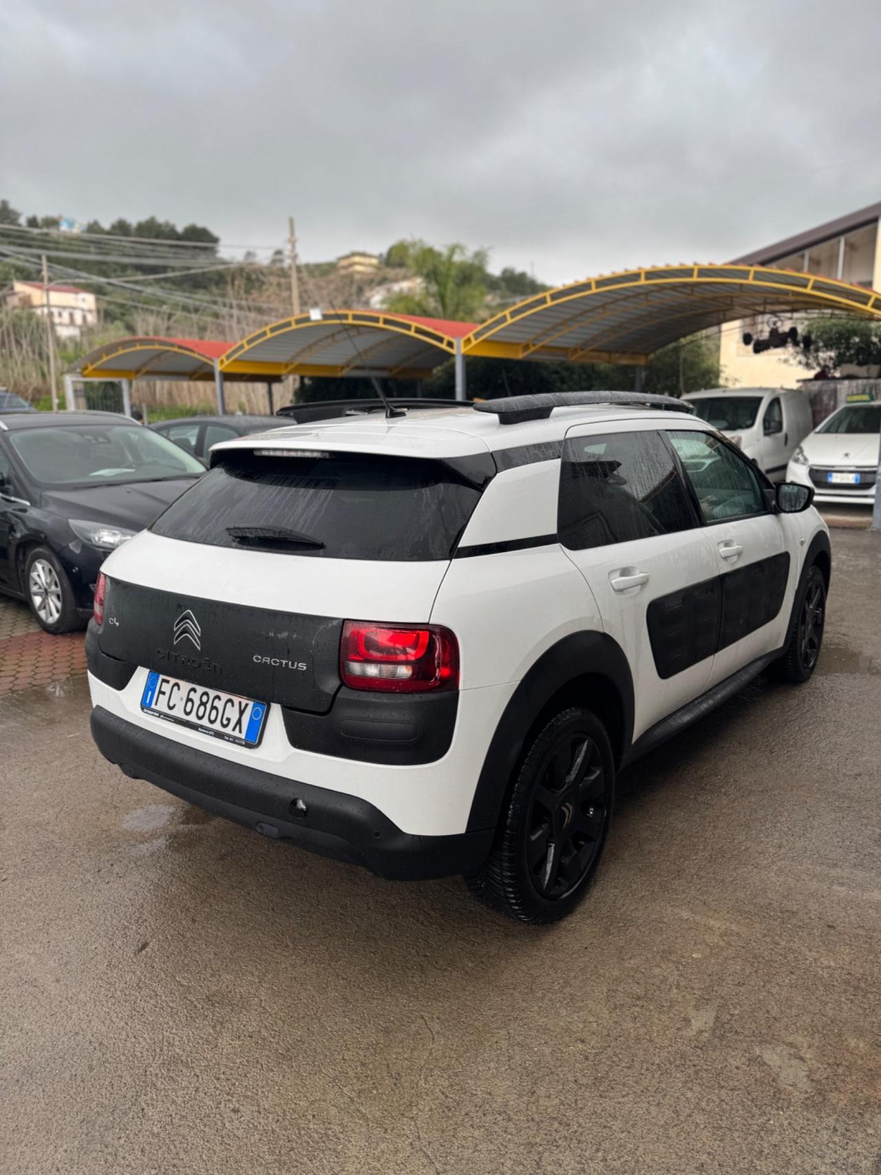 Citroen C4 Cactus BlueHDi 100 S&S ETG6 Shine