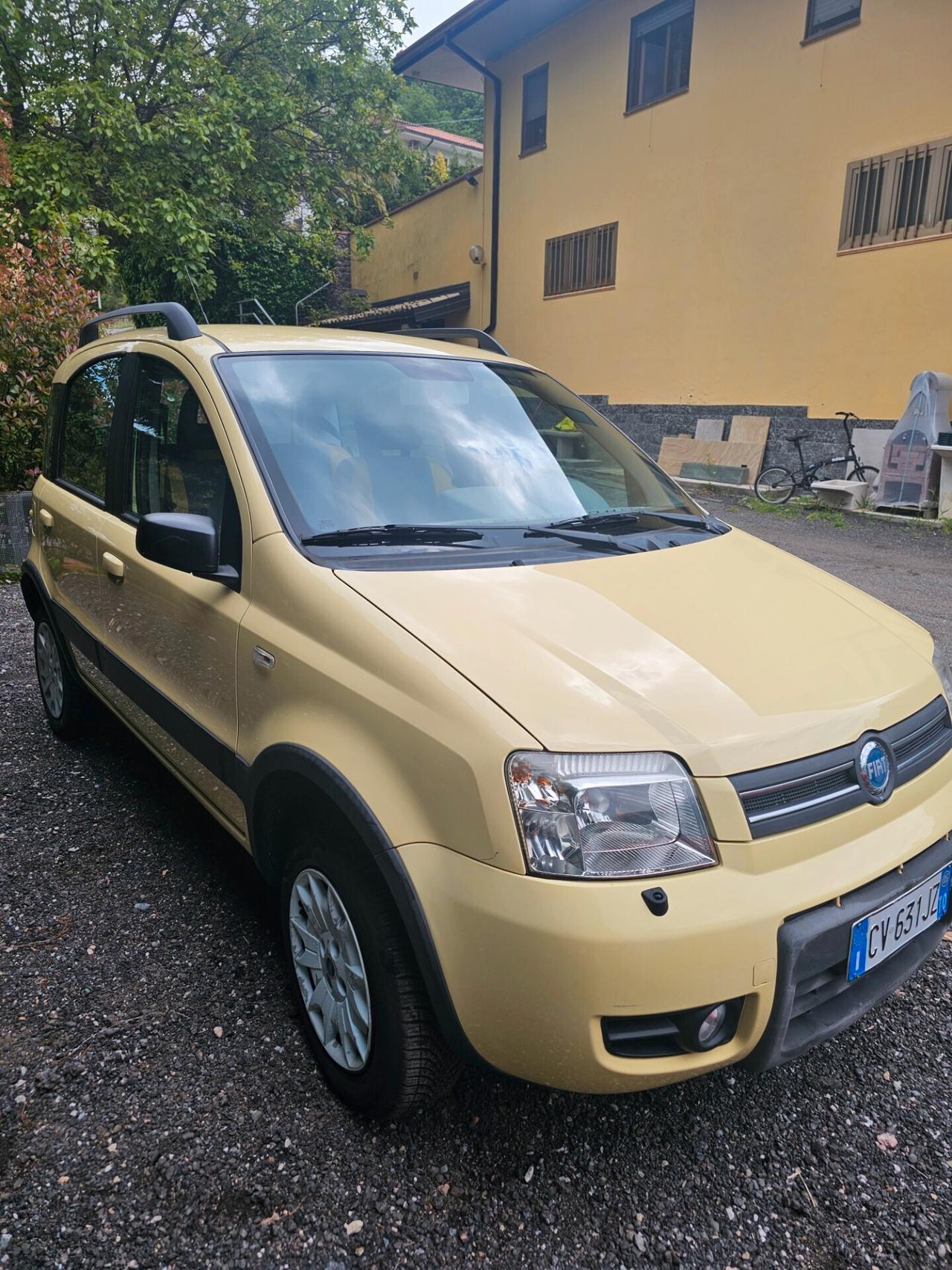 Fiat Panda 4X4 1.2 Benzina