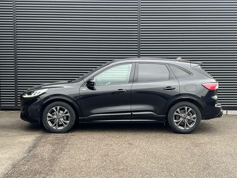 Ford Kuga 2.0 EcoBlue 120 cv 2WD ST-Line X Auto