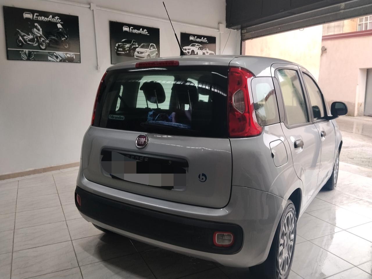 Fiat Panda 1.2 Benzina 2016 CON GARANZIA