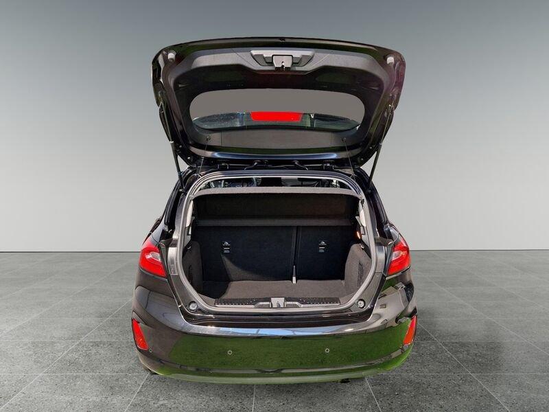 Ford Fiesta 1.1 75 CV GPL 5 porte Titanium