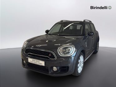 MINI Mini Countrym.(F60) - Mini 2.0 Cooper S Hype Countryman ALL4