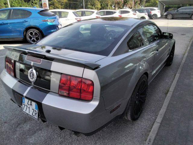 MUSTANG Mustang SHELBY GT 500