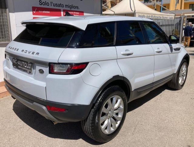 LAND ROVER Range Rover Evoque 2.0 TD4 150 CV 5p. Business Edition