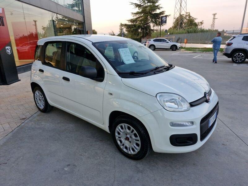 FIAT Panda III 2016 1.2 Easy s&s 69cv my19