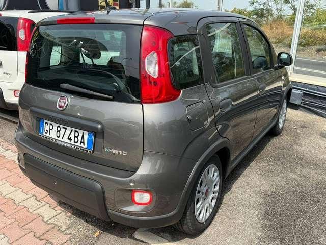 Fiat Panda Panda 1.0 firefly hybrid DISPONIBILI VARI COLORI