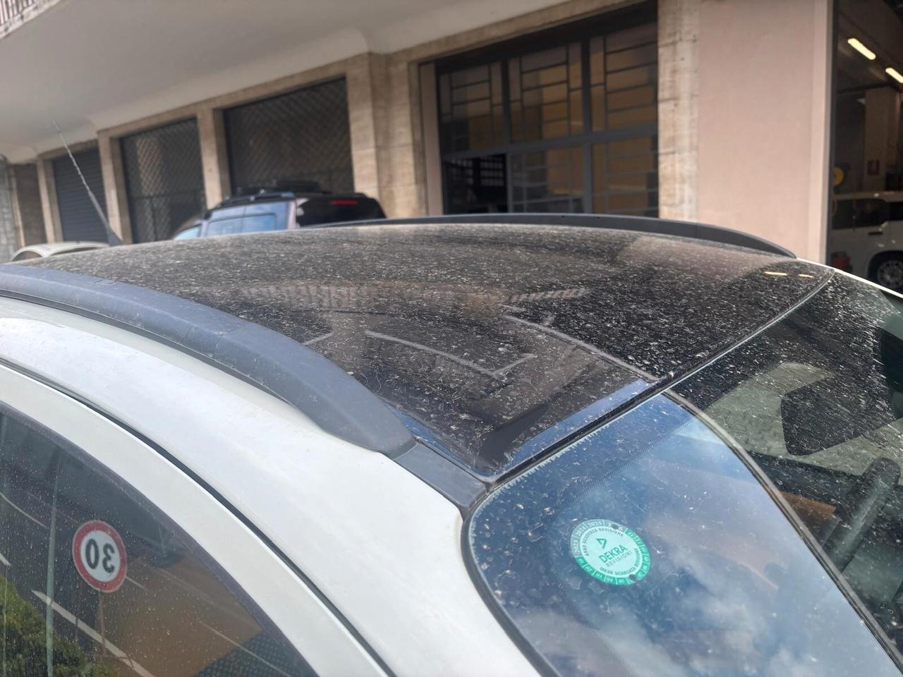 Fiat Panda 1.3 MJT S&S 4x4 Antartica