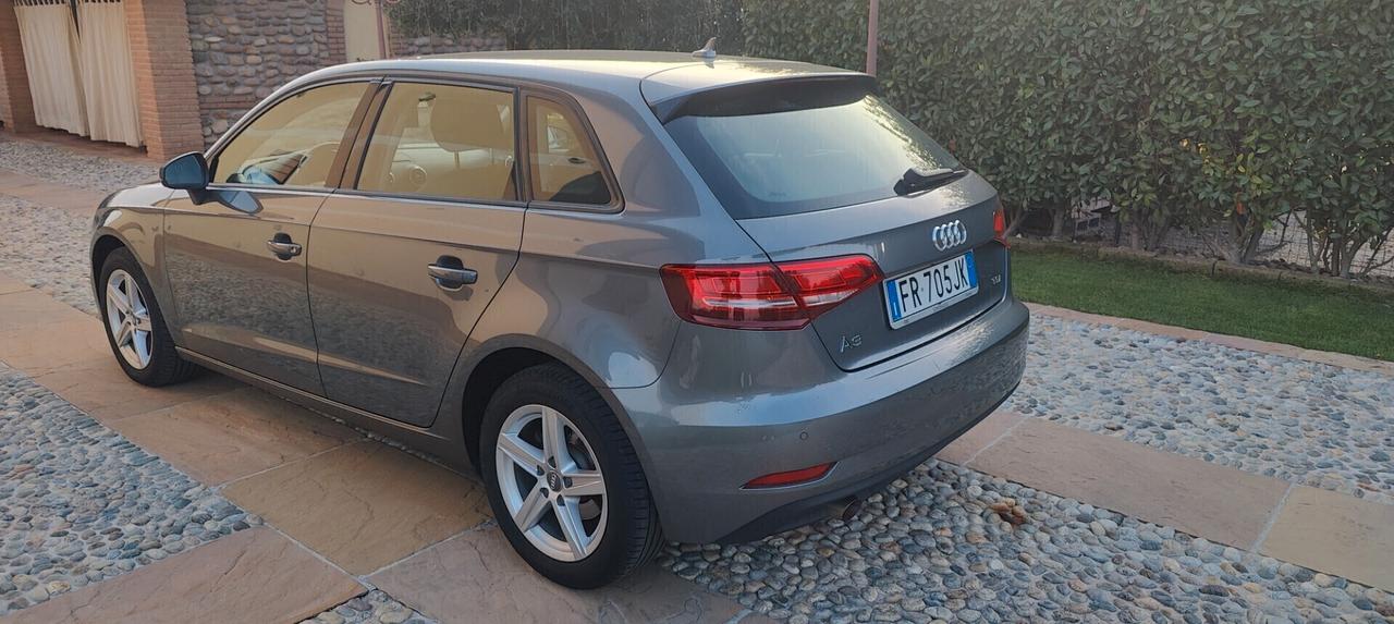 Audi A3 1.6 TDI 116 CV S tronic Business