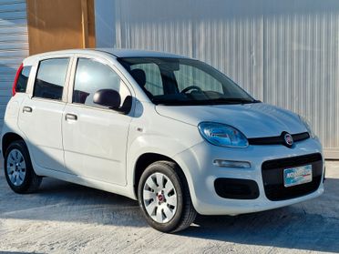 Fiat Panda 1.2 benzina 70cv 06/2019