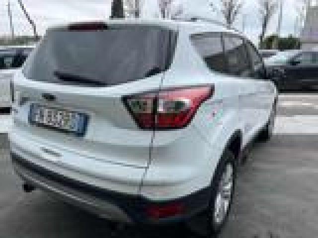 FORD Kuga 1.5 TDCI 120 CV S&S 2WD Powershift Business