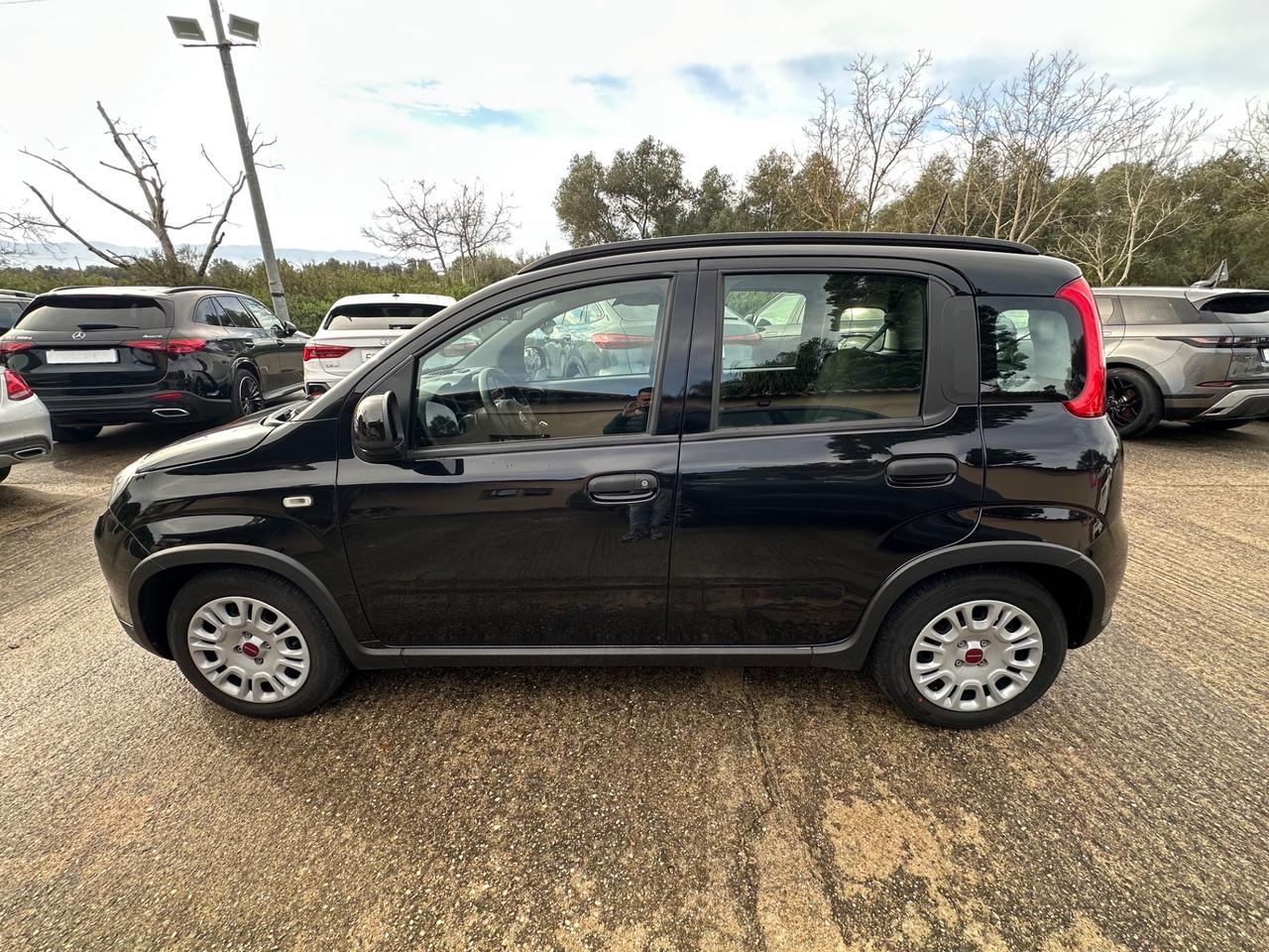 Fiat Panda 1.0 FireFly S&S Hybrid