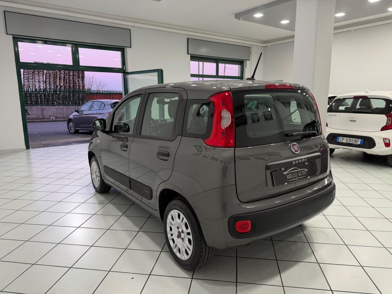 Fiat Panda 1.2cc 69cv Easy 2021