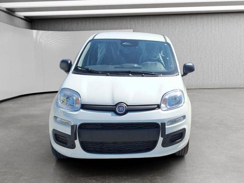 FIAT Pandina Cross 1.0 firefly hybrid s&s 70cv
