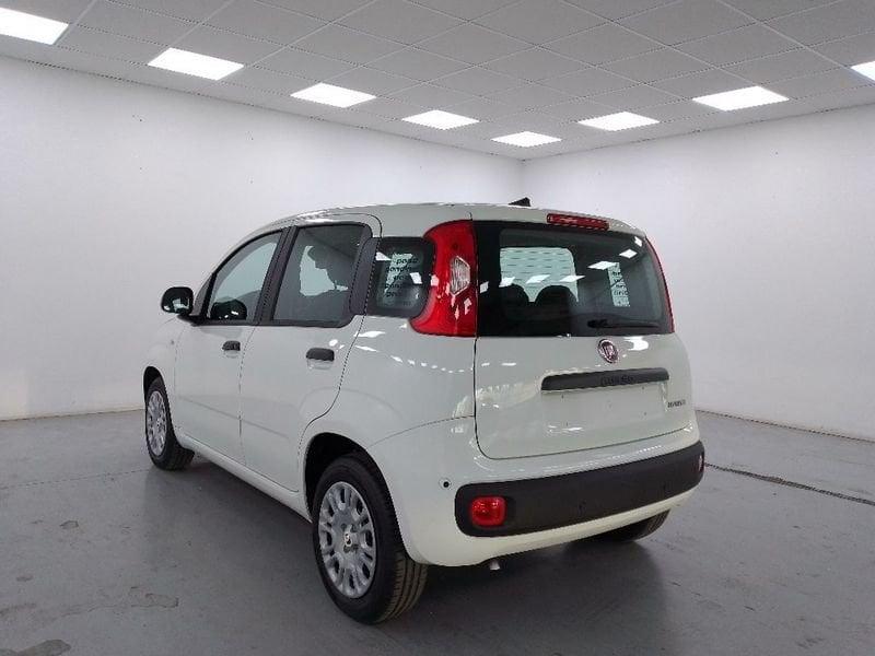 FIAT Pandina 1.0 firefly hybrid Icon s e s 70cv 5p.ti
