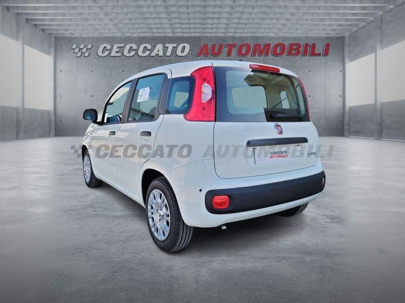 FIAT Panda Panda 1.0 firefly hybrid s&s 70cv