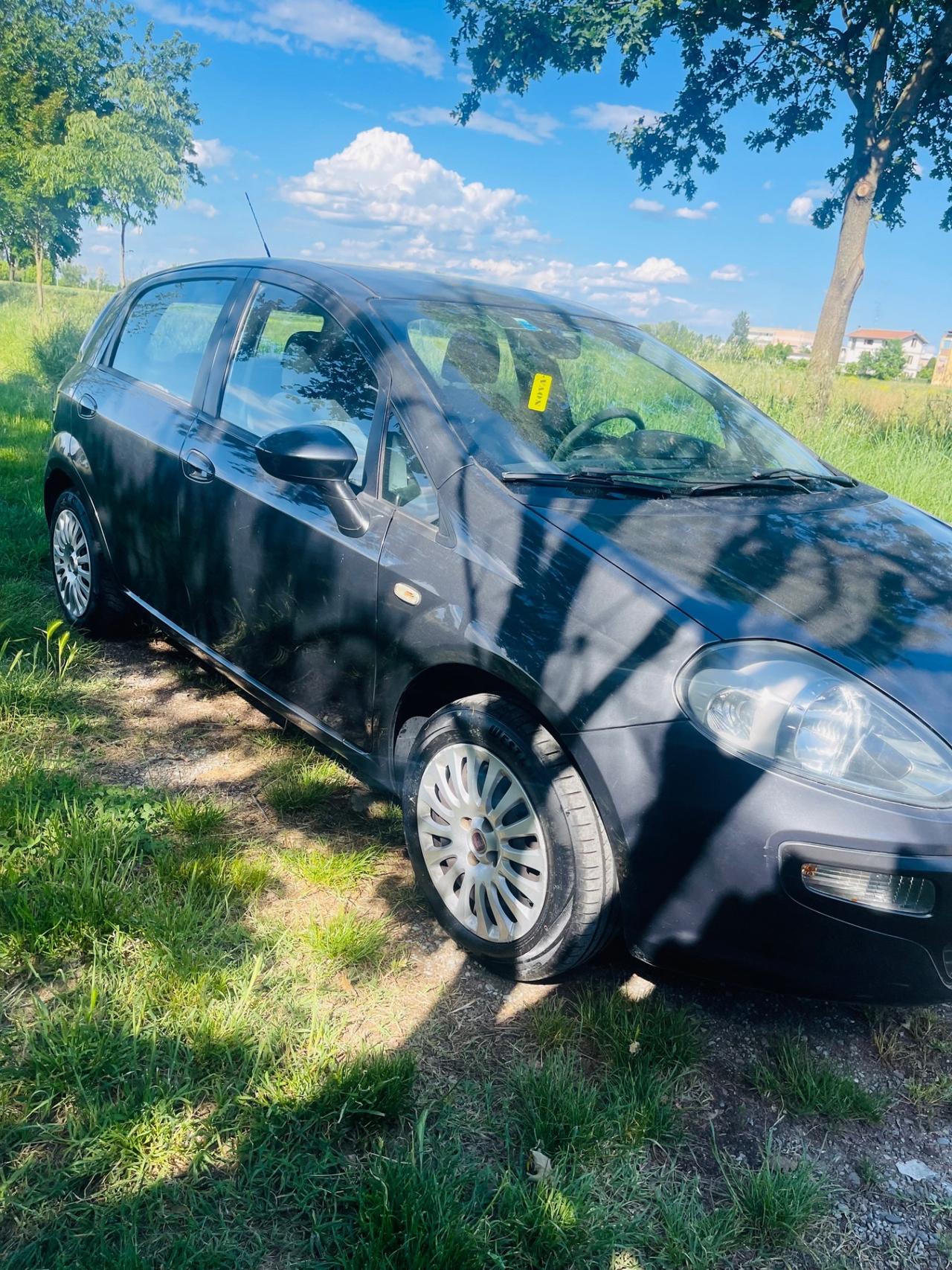 Fiat Punto Evo 1.4 5 porte Active