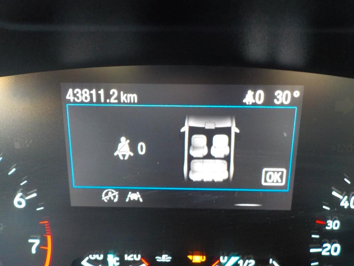 Ford Focus 1.0 EcoBoost Hybrid 125 CV 5p. ST-Line