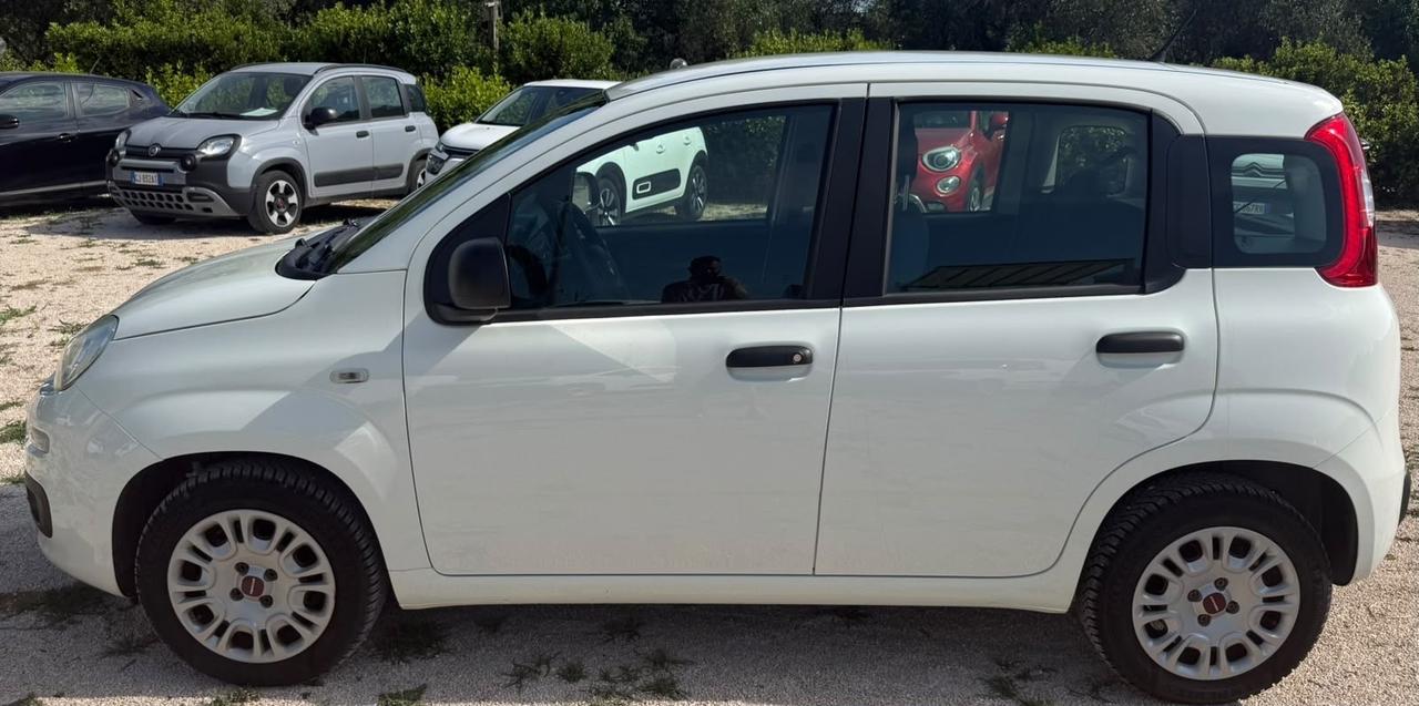 Fiat Panda 1.2 Lounge