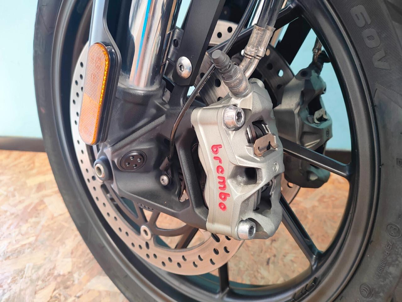 Triumph Tiger 1200 GT PRO - Solo Tagliandi Triumph