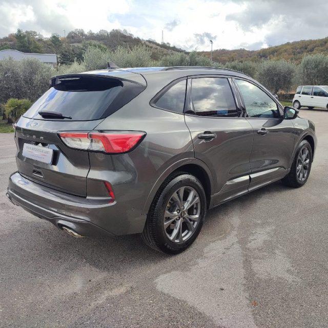 FORD Kuga 1.5 EcoBlue 120 CV aut. 2WD ST-Line